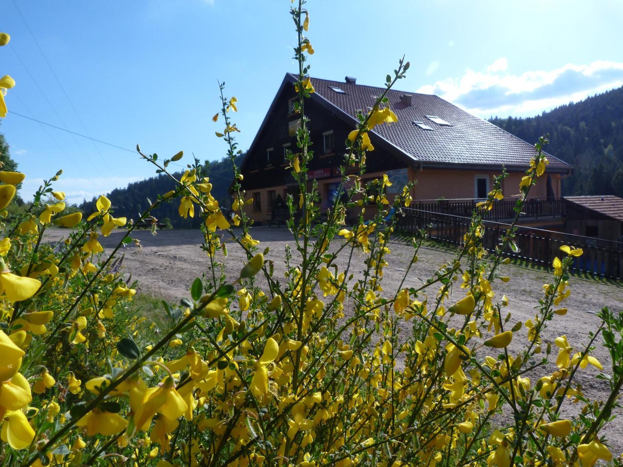 Domaine Des Hauts Viaux La Bresse Eksteriør billede
