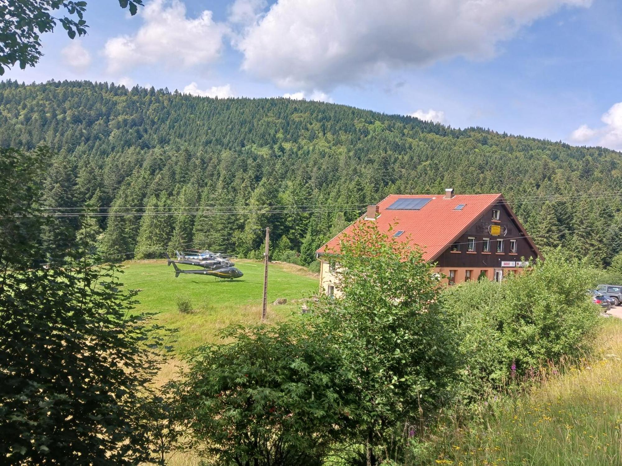 Domaine Des Hauts Viaux La Bresse Eksteriør billede