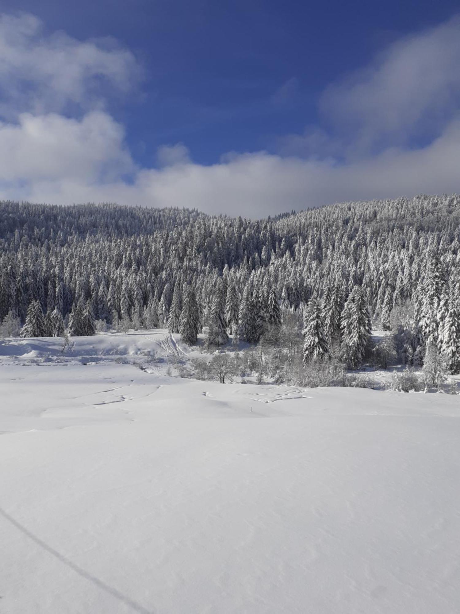 Domaine Des Hauts Viaux La Bresse Eksteriør billede