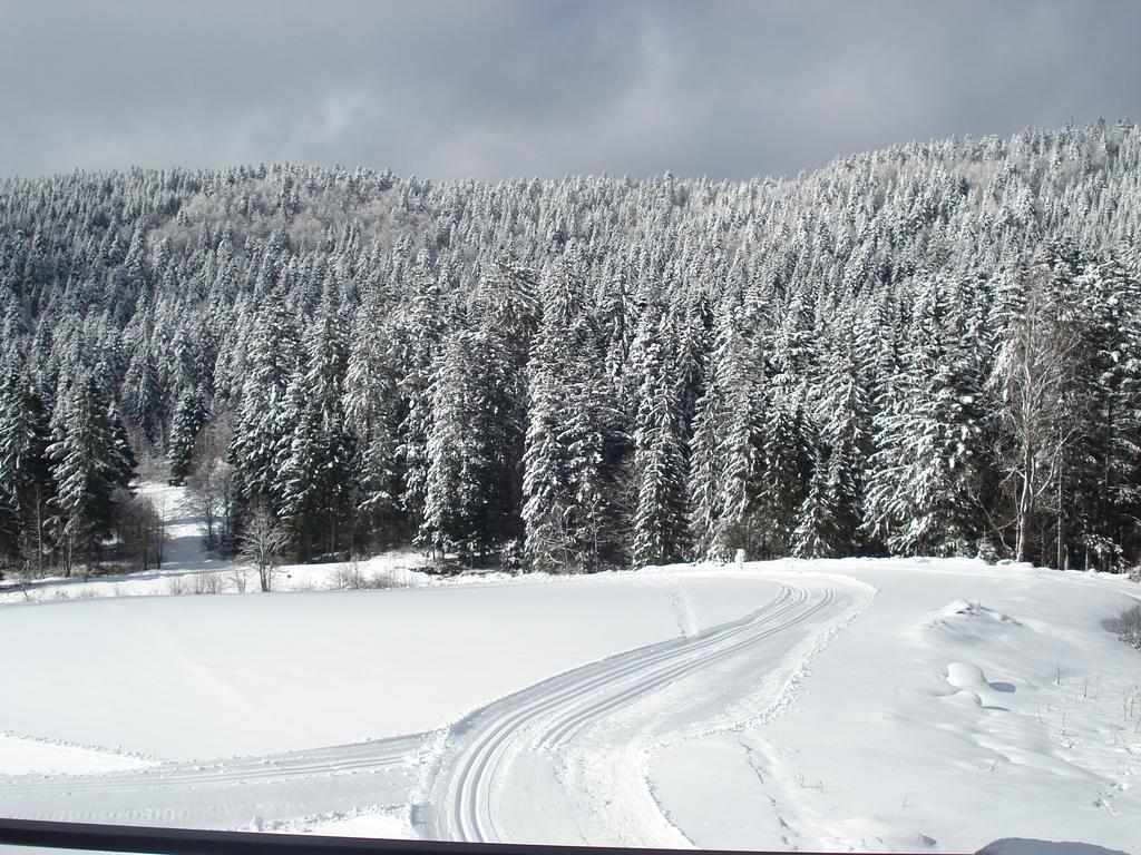 Domaine Des Hauts Viaux La Bresse Eksteriør billede