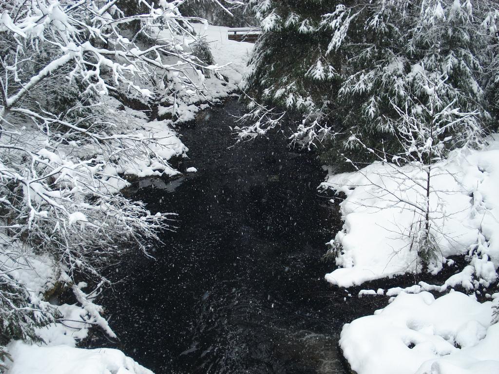 Domaine Des Hauts Viaux La Bresse Eksteriør billede