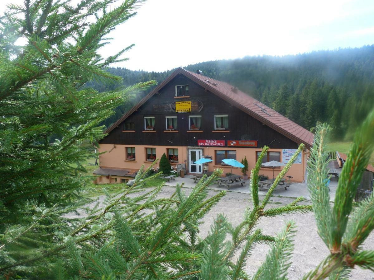 Domaine Des Hauts Viaux La Bresse Eksteriør billede