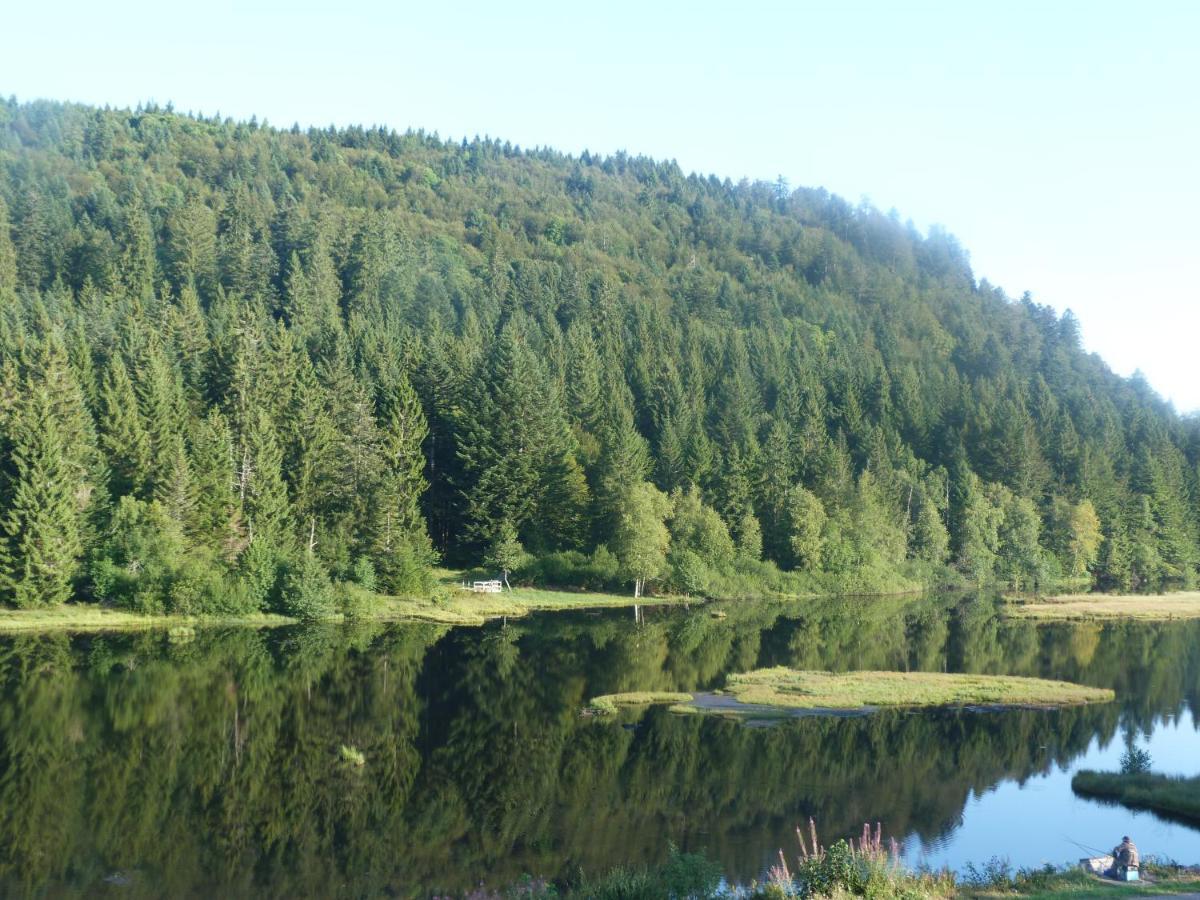 Domaine Des Hauts Viaux La Bresse Eksteriør billede